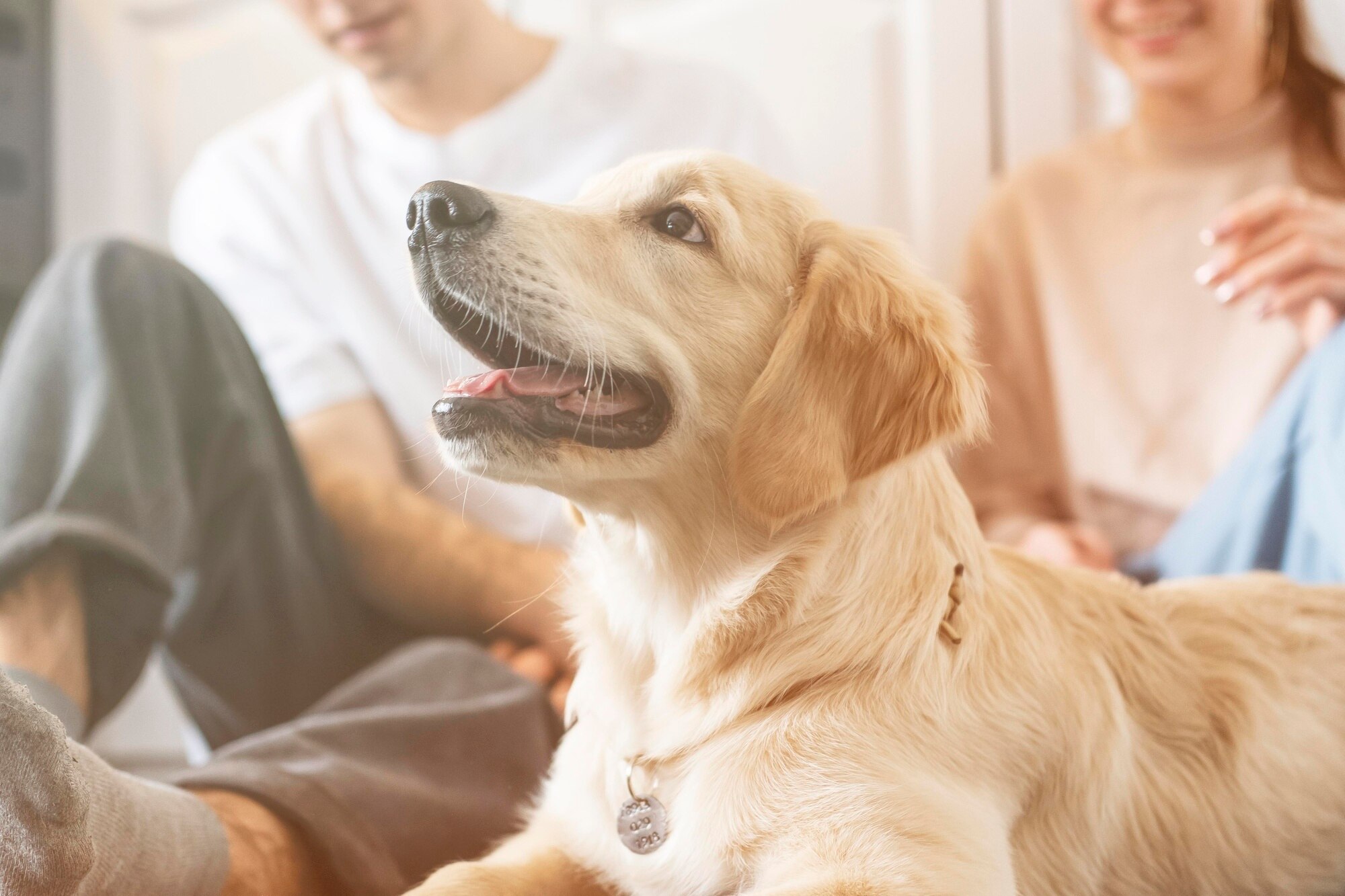 close-up-couple-with-dog-indoors_23-2148901066
